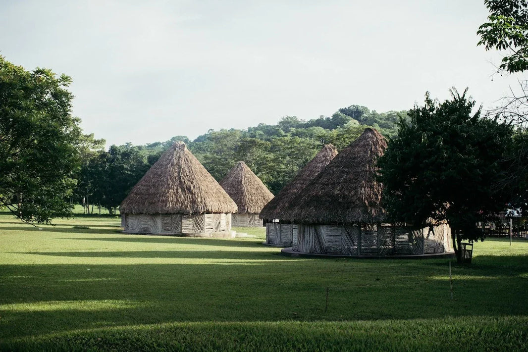 Wood from Petén: A Forest’s Story