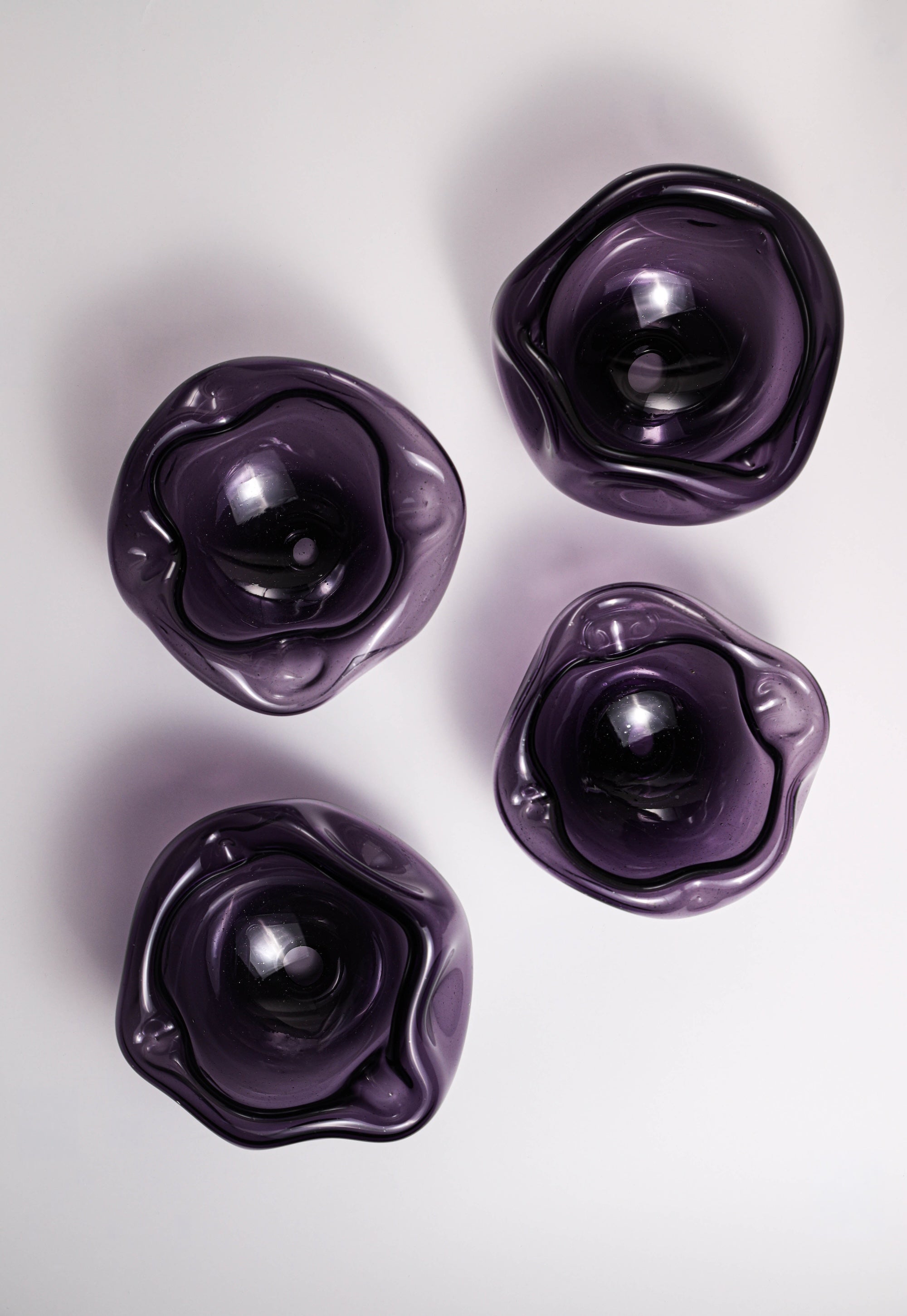 Ruellia amethyst bowl